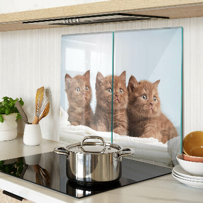 Glass kitchen board Three brown cats