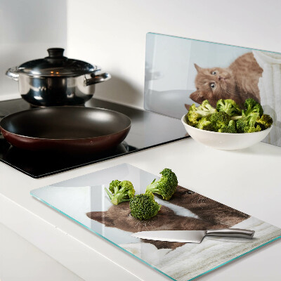 Glass kitchen board Three brown cats