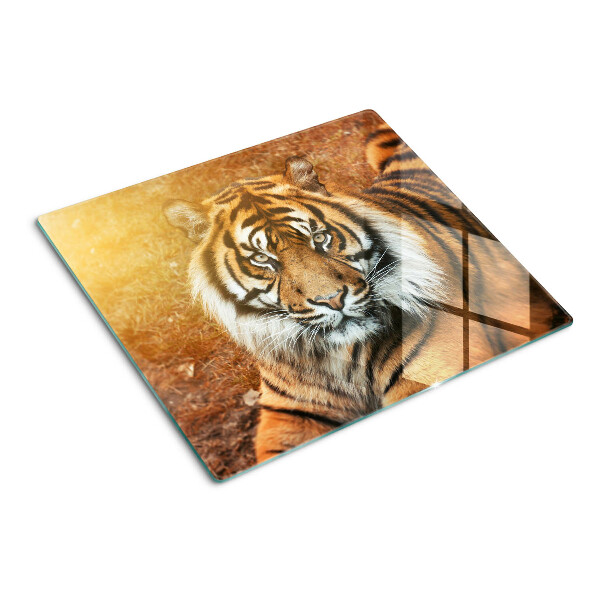 Glass chopping board Tiger in the sun