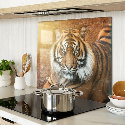 Glass chopping board Tiger in the sun