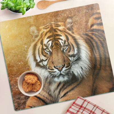 Glass chopping board Tiger in the sun