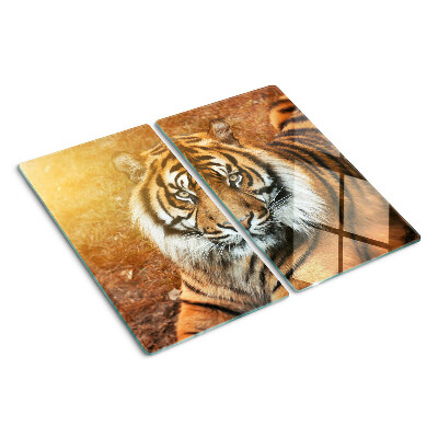 Glass chopping board Tiger in the sun