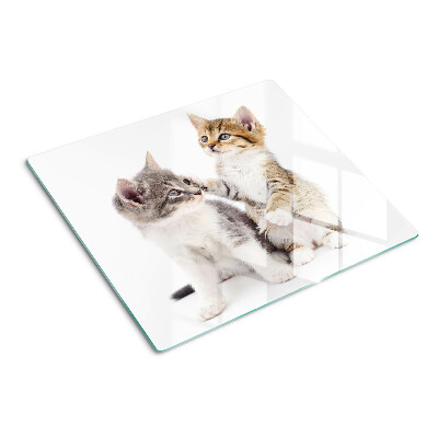 Glass chopping board Cats on a white background