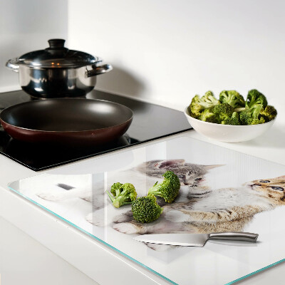 Glass chopping board Cats on a white background
