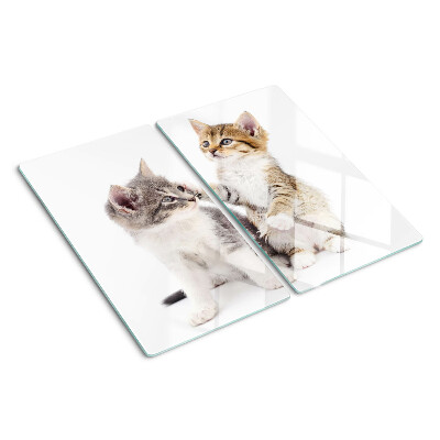 Glass chopping board Cats on a white background