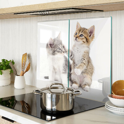 Glass chopping board Cats on a white background