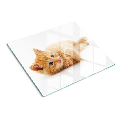Glass kitchen board Ginger kitten on a white background