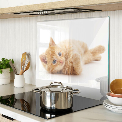 Glass kitchen board Ginger kitten on a white background