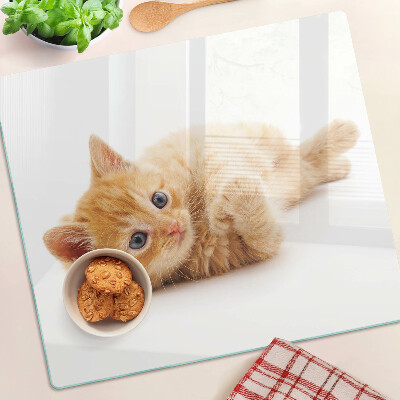 Glass kitchen board Ginger kitten on a white background