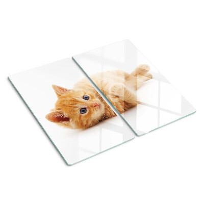 Glass kitchen board Ginger kitten on a white background