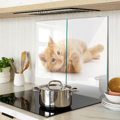 Glass kitchen board Ginger kitten on a white background