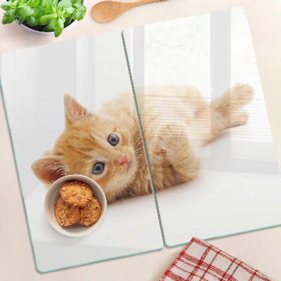 Glass kitchen board Ginger kitten on a white background