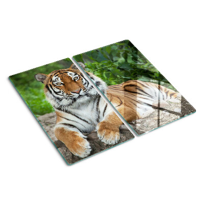 Glass chopping board Tiger in its natural habitat