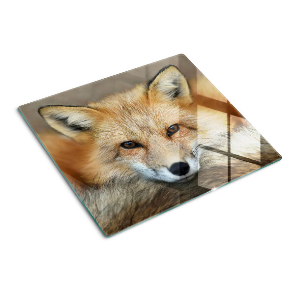 Glass chopping board Young red fox