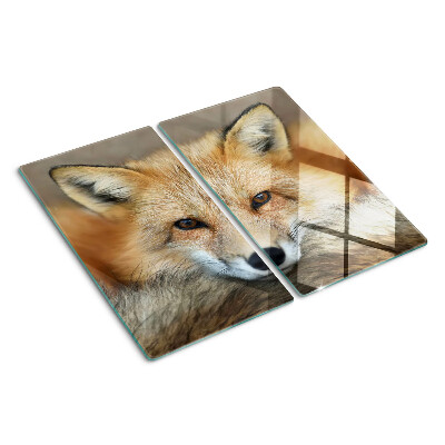 Glass chopping board Young red fox