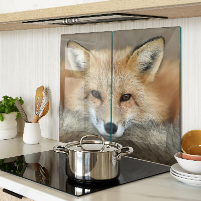 Glass chopping board Young red fox