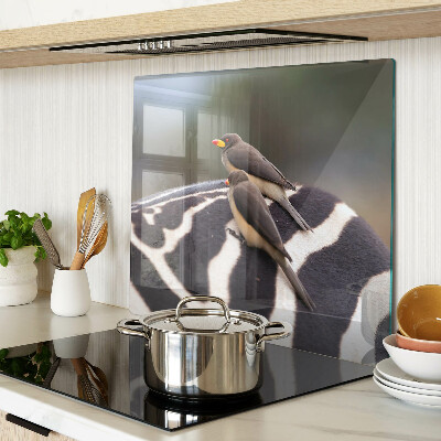 Glass kitchen board Birds on a zebra