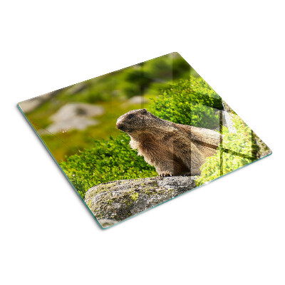 Glass chopping board Marmot on a background of green grass