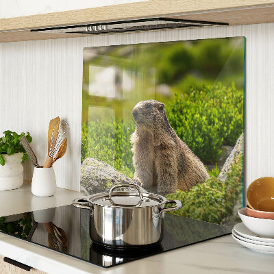 Glass chopping board Marmot on a background of green grass
