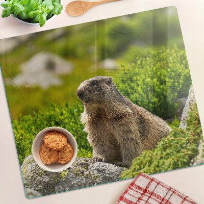 Glass chopping board Marmot on a background of green grass