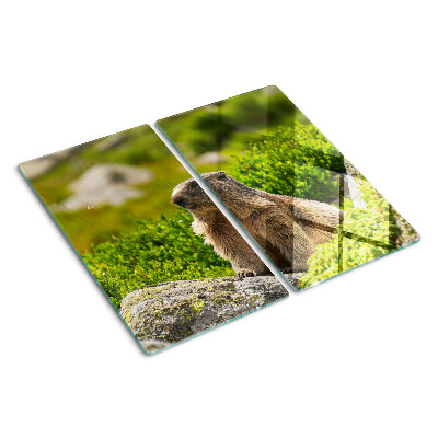 Glass chopping board Marmot on a background of green grass