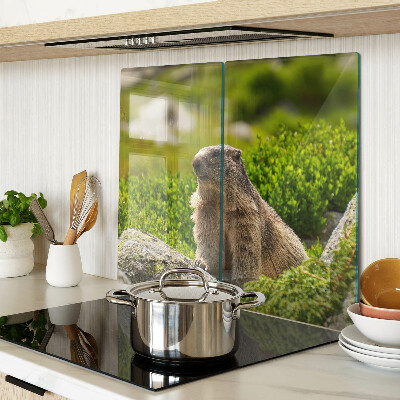 Glass chopping board Marmot on a background of green grass