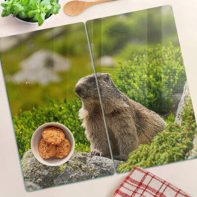 Glass chopping board Marmot on a background of green grass