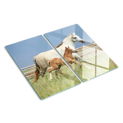 Glass kitchen board A horse with a foal in a meadow