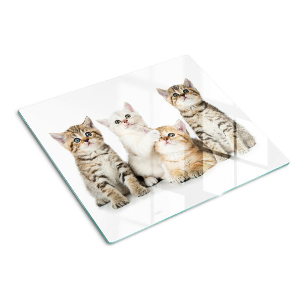 Glass kitchen board A flock of kittens