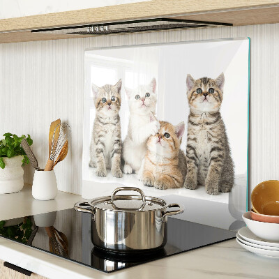 Glass kitchen board A flock of kittens