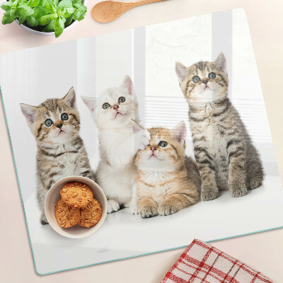 Glass kitchen board A flock of kittens