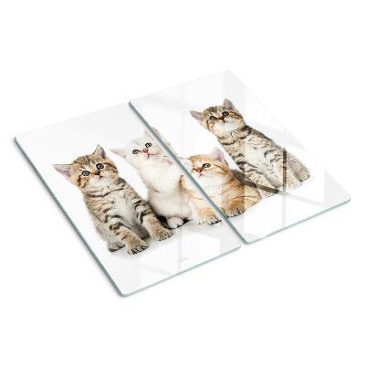 Glass kitchen board A flock of kittens