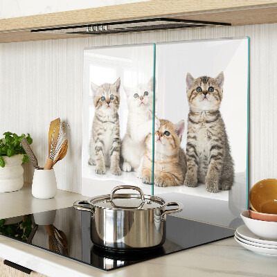 Glass kitchen board A flock of kittens