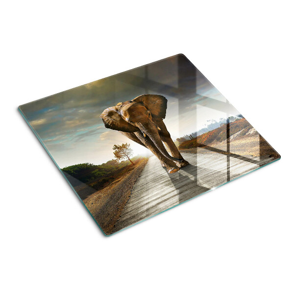 Glass kitchen board Elephant on the road at sunset