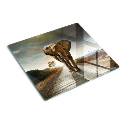 Glass kitchen board Elephant on the road at sunset