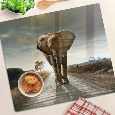 Glass kitchen board Elephant on the road at sunset