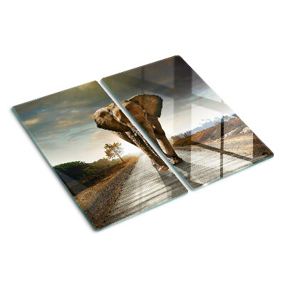 Glass kitchen board Elephant on the road at sunset