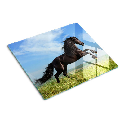 Glass kitchen board Black horse in the meadow