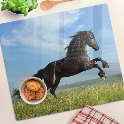 Glass kitchen board Black horse in the meadow