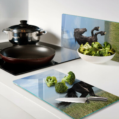 Glass kitchen board Black horse in the meadow