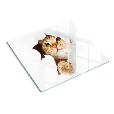 Glass kitchen board A cat looking through a hole in the wall