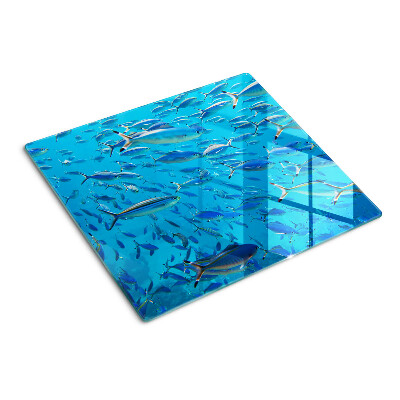 Glass chopping board A school of fish in clear water