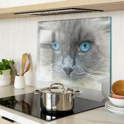 Glass kitchen board Cat with blue eyes
