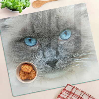 Glass kitchen board Cat with blue eyes