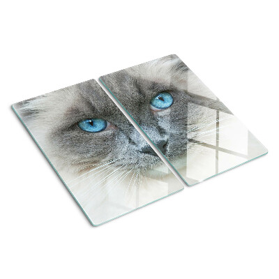 Glass kitchen board Cat with blue eyes