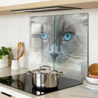 Glass kitchen board Cat with blue eyes