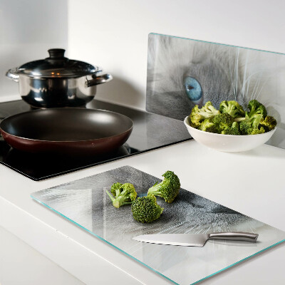 Glass kitchen board Cat with blue eyes