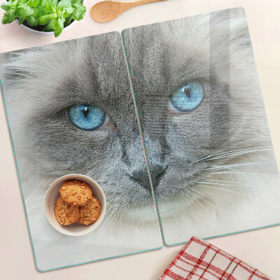 Glass kitchen board Cat with blue eyes
