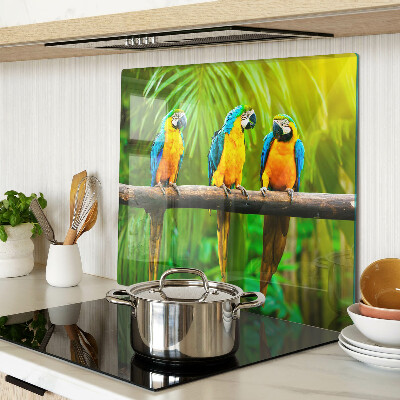 Glass kitchen board Parrots on a branch in the tropics