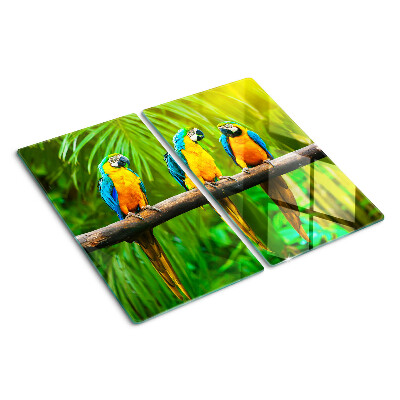 Glass kitchen board Parrots on a branch in the tropics